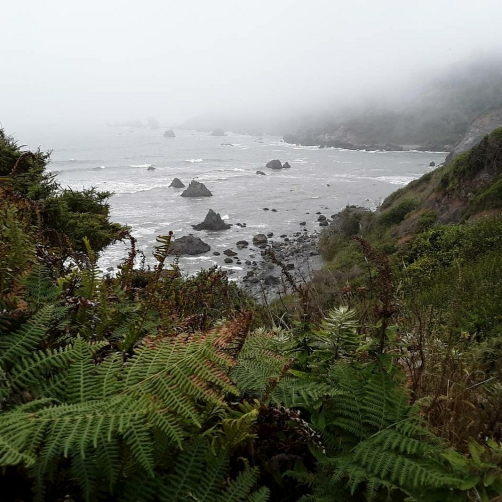 Meet your Posher, Rocky